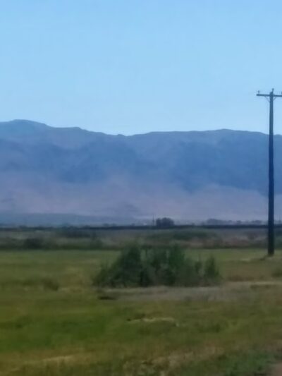 Honey Lake Wildlife Area - Wendel, CA