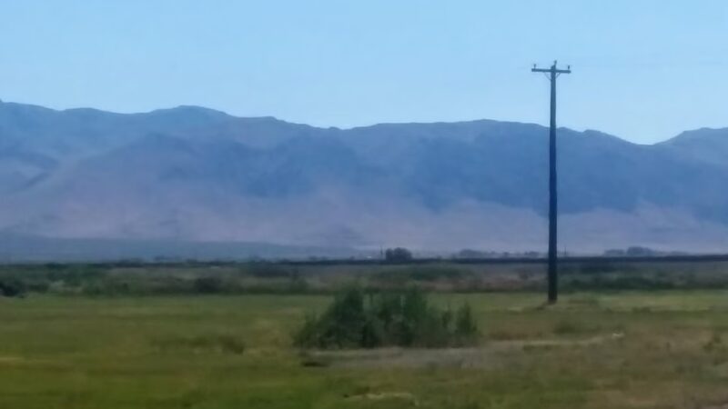 Honey Lake Wildlife Area - Wendel, CA