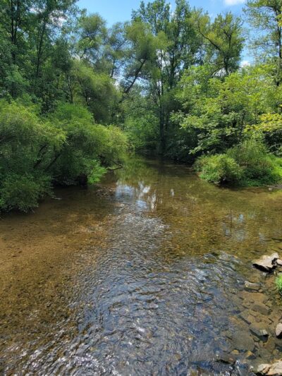 Blue Marsh Trail-Spring Creek - Wernersville, PA