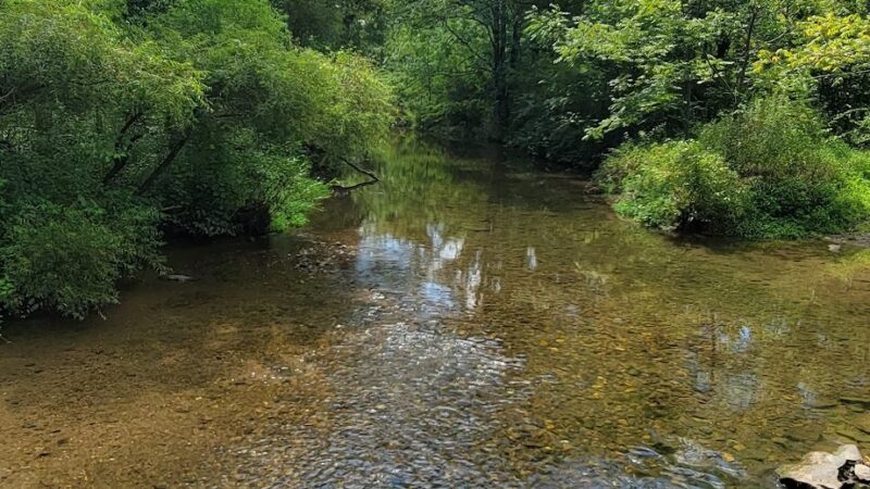 Blue Marsh Trail-Spring Creek - Wernersville, PA