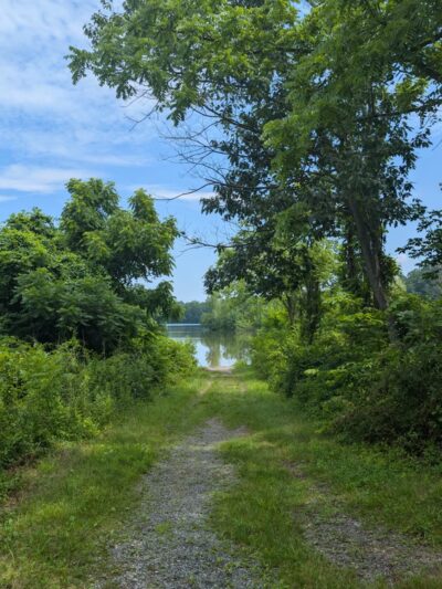 Blue Marsh Trail-Spring Creek - Wernersville, PA