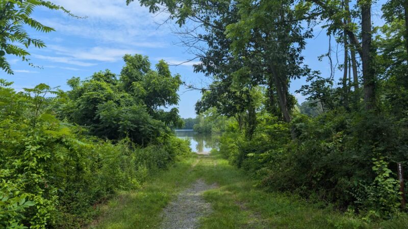 Blue Marsh Trail-Spring Creek - Wernersville, PA