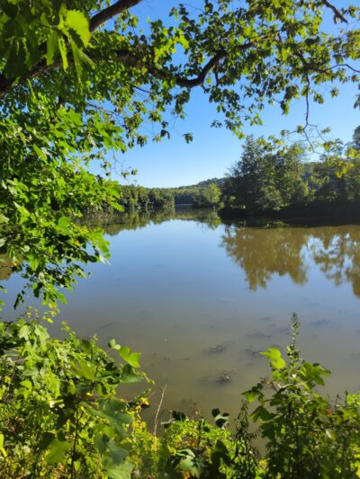 Blue Marsh Trail-Spring Creek - Wernersville, PA