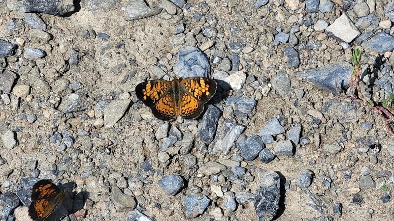 Blue Marsh Trail-Spring Creek - Wernersville, PA