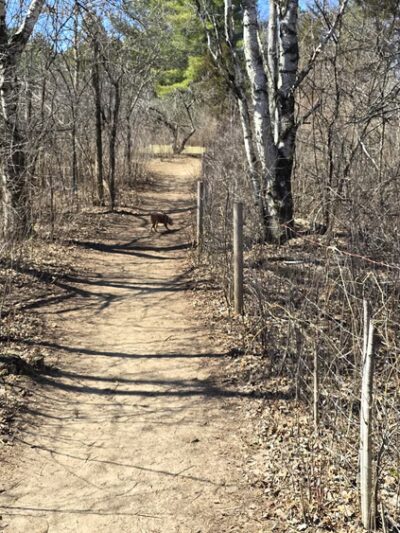 Sandy Knoll County Park - West Bend, WI