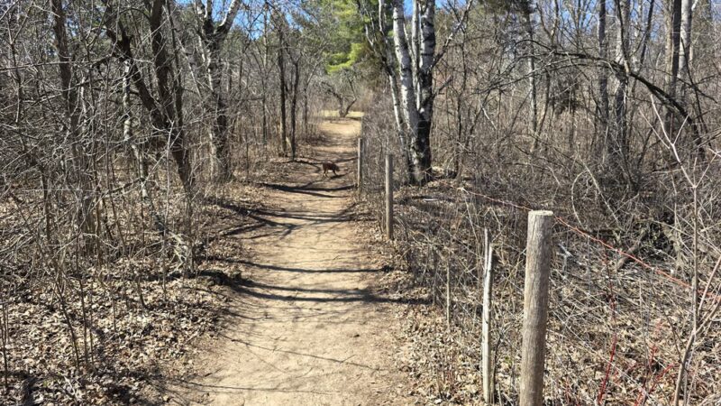 Sandy Knoll County Park - West Bend, WI