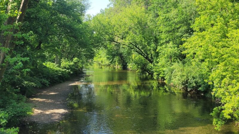 Brandywine Meadows Preserve - West Bradford Township, PA