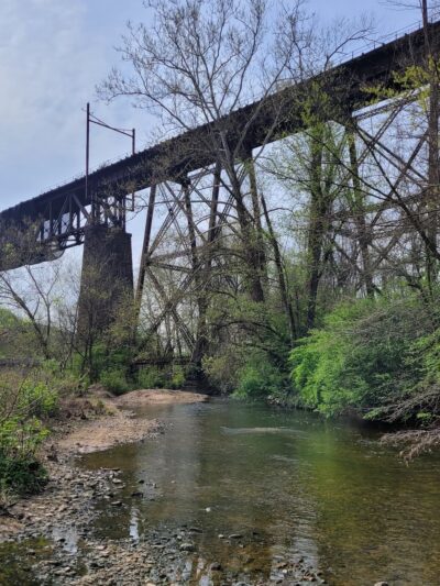 Brandywine Meadows Preserve - West Bradford Township, PA