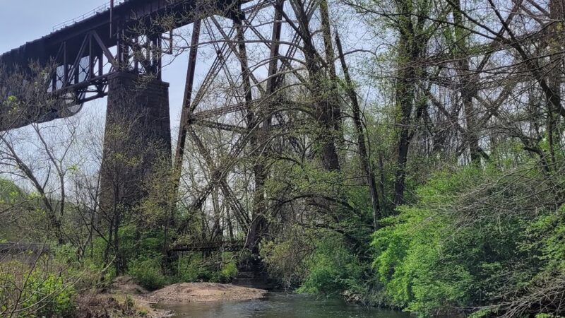 Brandywine Meadows Preserve - West Bradford Township, PA