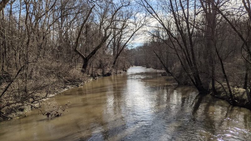 Brandywine Meadows Preserve - West Bradford Township, PA