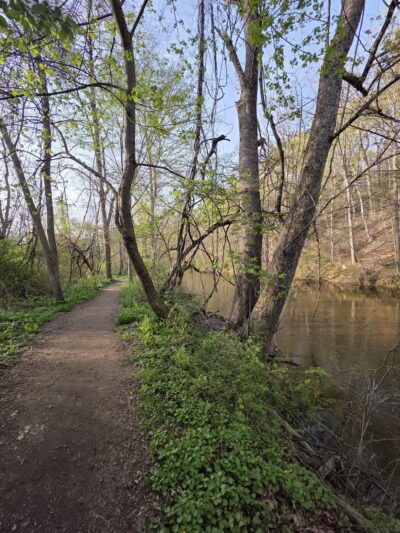 Brandywine Meadows Preserve - West Bradford Township, PA