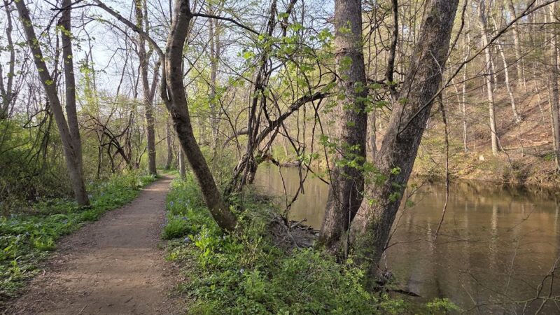 Brandywine Meadows Preserve - West Bradford Township, PA