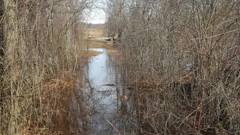 West Bridgewater - West Bridgewater, MA