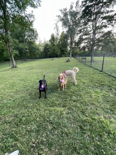 Hintermeister Park - West Carrollton, OH