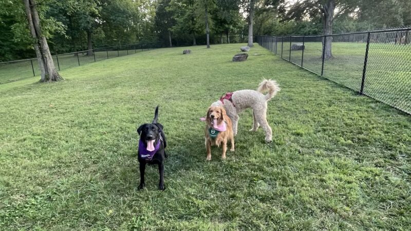 Hintermeister Park - West Carrollton, OH