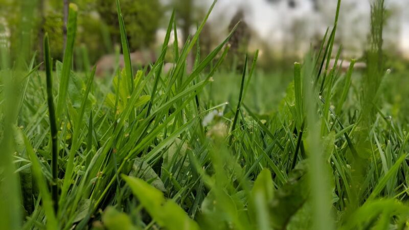 Hintermeister Park - West Carrollton, OH