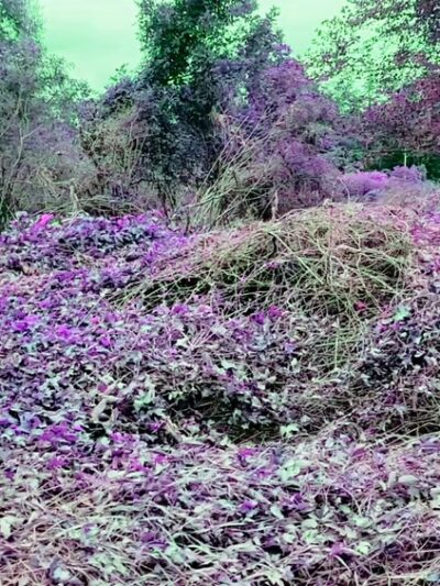 Shaw's Bridge Park - West Chester, PA