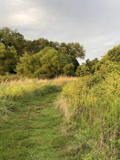 Shaw's Bridge Park - West Chester, PA
