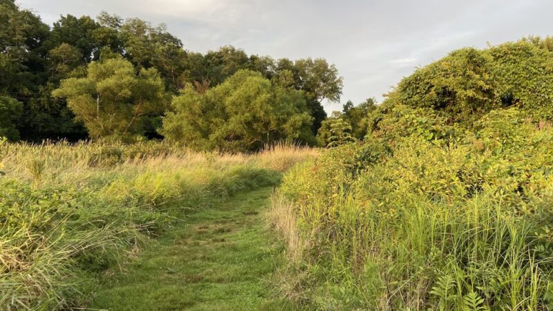 Shaw's Bridge Park - West Chester, PA