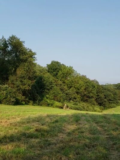 Starr Farm Park - West Chester, PA