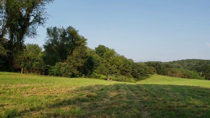 Starr Farm Park - West Chester, PA