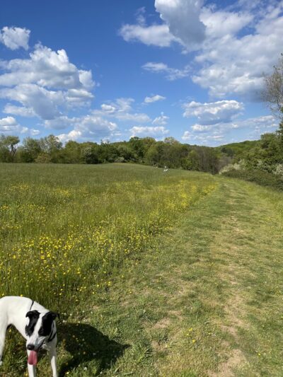 Starr Farm Park - West Chester, PA