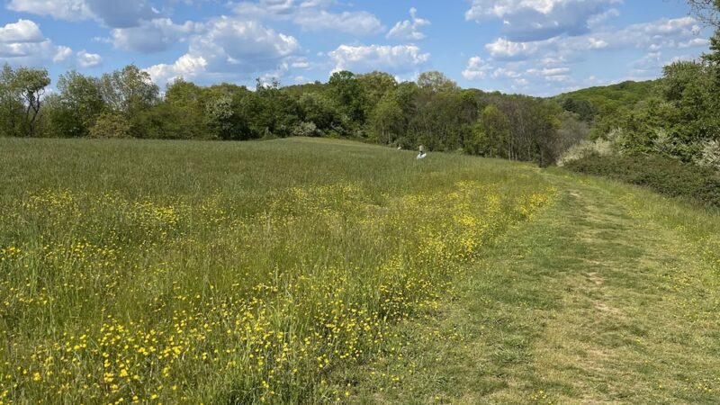 Starr Farm Park - West Chester, PA