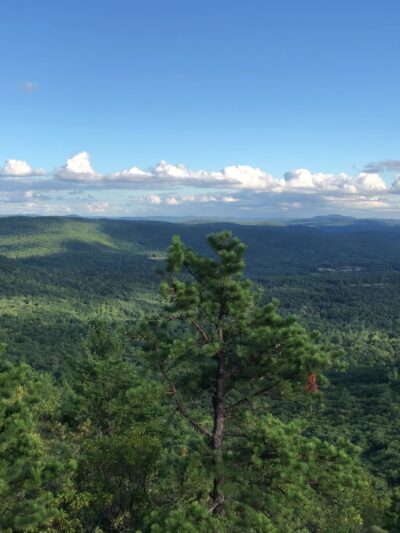 Wantastiquet Mountain Natural Area - West Chesterfield, NH