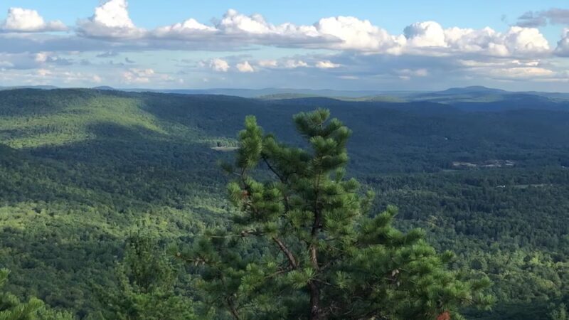 Wantastiquet Mountain Natural Area - West Chesterfield, NH