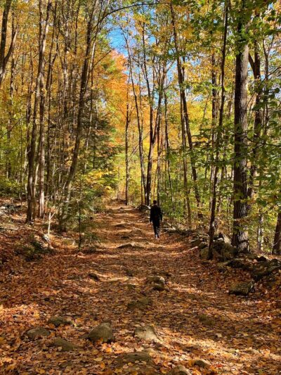 Wantastiquet Trail - West Chesterfield, NH