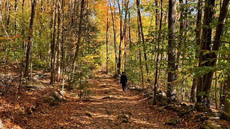 Wantastiquet Trail - West Chesterfield, NH