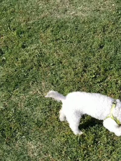 Del Norte Park - West Covina, CA