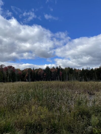 Valley Trail trailhead - West Dover, VT