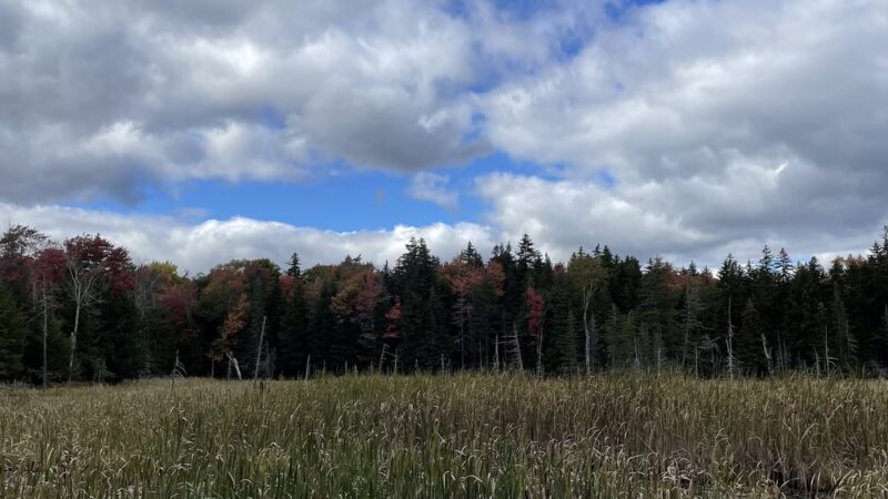 Valley Trail trailhead - West Dover, VT