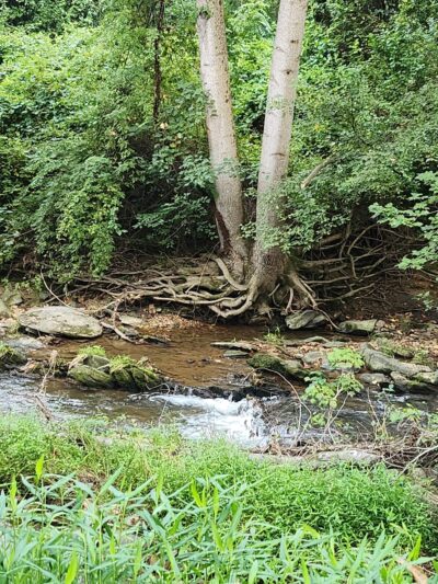 West Friendship Park - West Friendship, MD