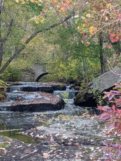 Stepstone Falls Waterfall and Hiking Paths - Part of Arcadia Management Area - West Greenwich, RI