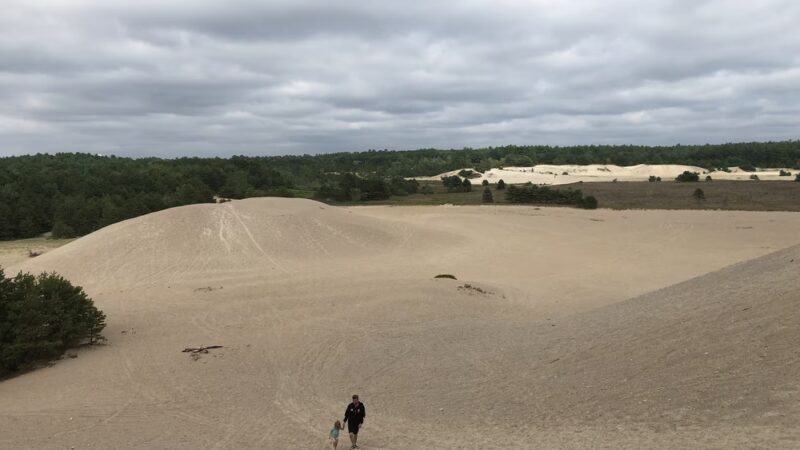 West Greenwich Sand Dunes - West Greenwich, RI