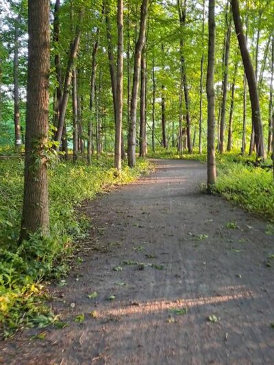 Breese Park - West Henrietta, NY