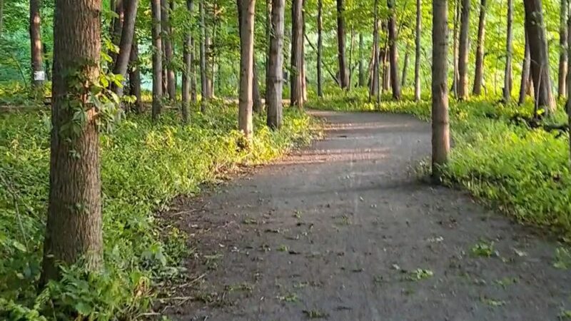 Breese Park - West Henrietta, NY