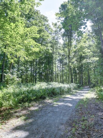 Breese Park - West Henrietta, NY