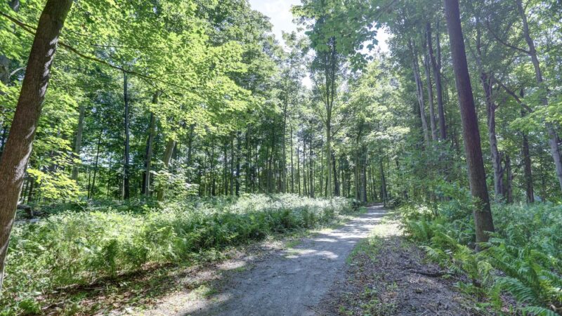 Breese Park - West Henrietta, NY