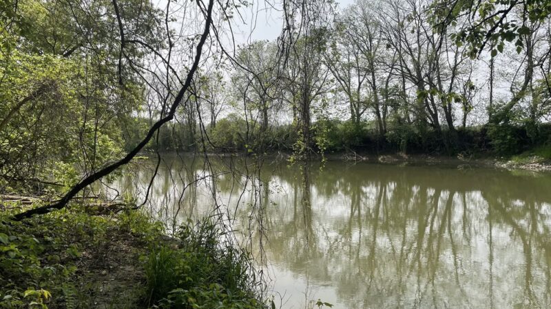 Breese Park - West Henrietta, NY