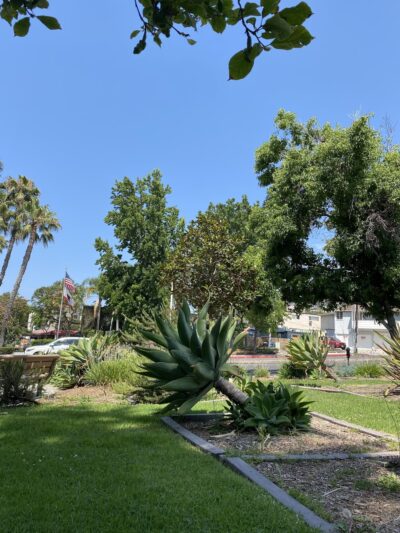 Corner Park at Hudson's - West Hollywood, CA