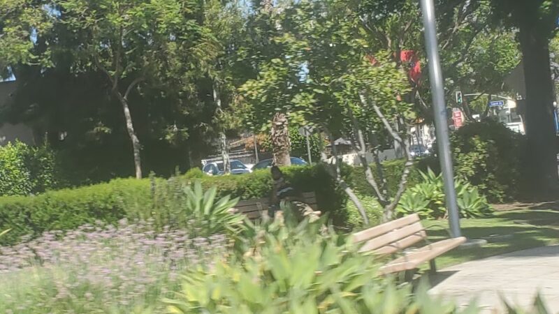 Corner Park at Hudson's - West Hollywood, CA