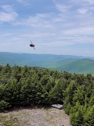 Hunter-west Kill Wilderness - West Kill, NY