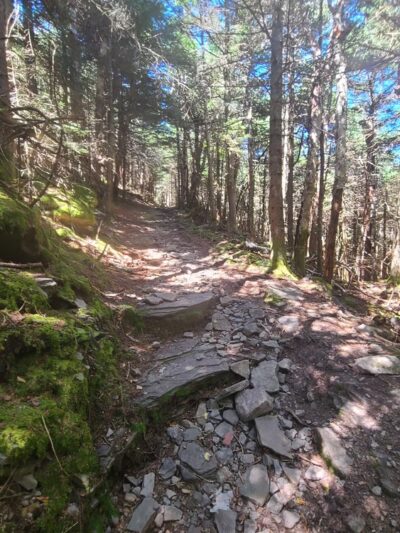 Hunter-west Kill Wilderness - West Kill, NY