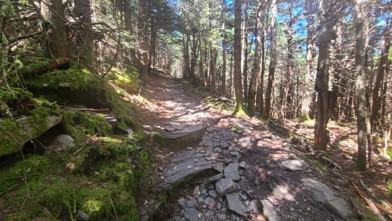 Hunter-west Kill Wilderness - West Kill, NY