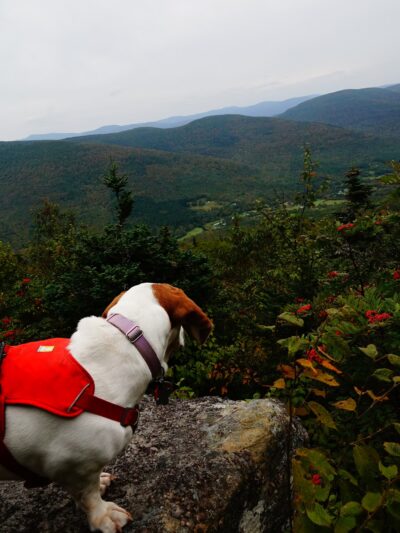 Rusk Mt Trailhead - West Kill, NY