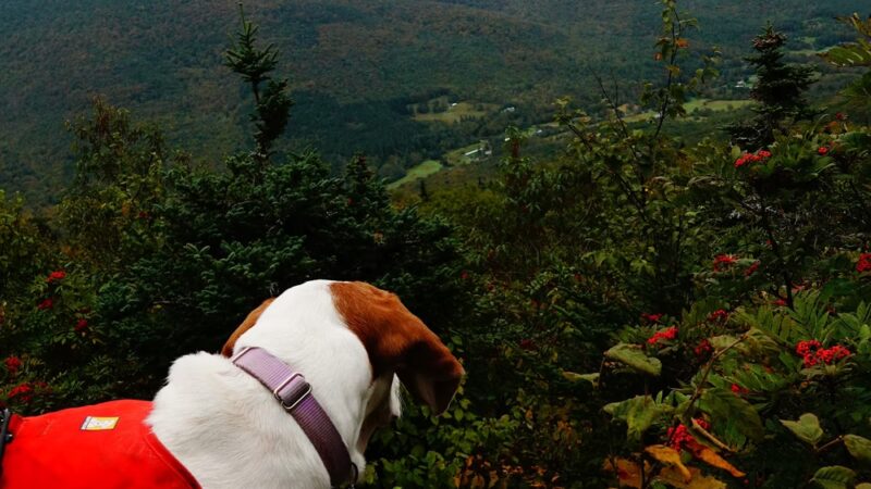 Rusk Mt Trailhead - West Kill, NY