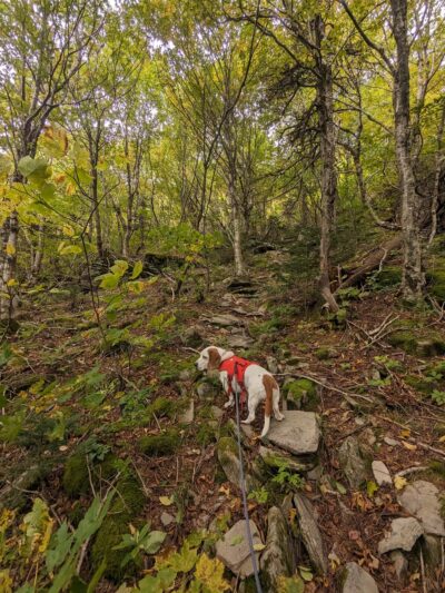 Rusk Mt Trailhead - West Kill, NY